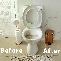 Toilet Before After